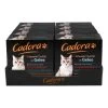 Cadora Katzennahrung Multipack Gelee 8 X 85 G, 8er Pack