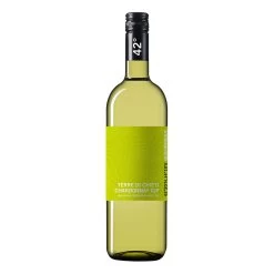 42° Chardonnay Terre Di Chieti IGP 13,0 % 0,75 Liter